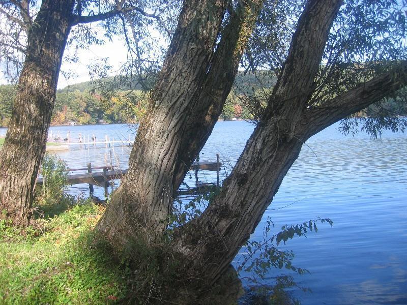Red Carpet Inn On The Lake - Oneonta Buitenkant foto